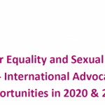 Webinar report: Achieving Gender Equality and Sexual and Reproductive Health and Rights – International Advocacy Challenges and Opportunities in 2020 & 2021