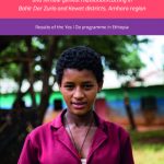 Preventing child marriage, teenage pregnancy and female genital mutilation/cutting in Bahir Dar Zuria and Kewet districts, Amhara region Publication